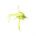 Vibrator Goldhead DADDY FLO LIME