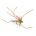 Vibrator Goldhead DADDY TAN