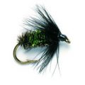 Wet Fly - BLACK & PEACOCK SPIDER