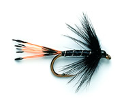 Wet Fly - BLACK PENNELL