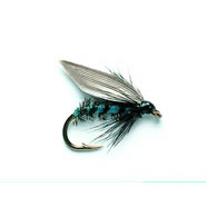 Wet Fly - BLUE BOTTLE