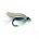 Wet Fly - BLUE DUN