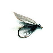 Wet Fly - DUCK FLY