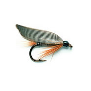 Wet Fly - GINGER QUILL