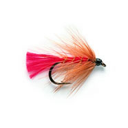 Wet Fly - SOLDIER PALMER