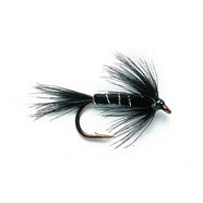 Wet Fly - WILLIAMS FAVOURITE