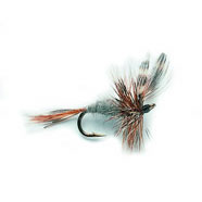 Dry Flies For Fly Fishing