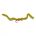 Chewing Gum Worm Olive