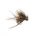 Hog Hopper Hares Ear