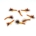 X6 DRY PARA MIDGE ORANGE