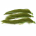 X3 OLIVE SNAKE