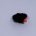 BARBLESS BLACK EGGSTASY