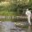 PHIL DIXON GUIDED TRIP RIVER FISHING.